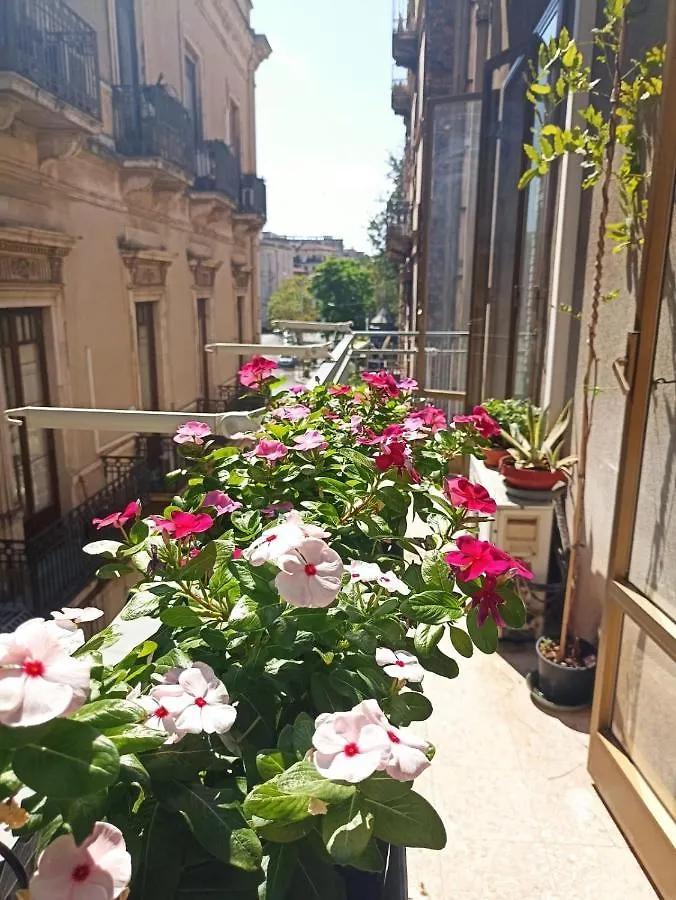 Casita Gentile Apartment Catania Italy